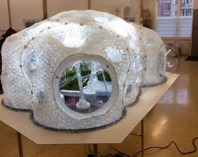 Dôme terrarium, 2015 Plastique, aluminium, résine époxy, broche à poule, néon, plantes 180 x 185 x 108 cm Daniel Corbeil