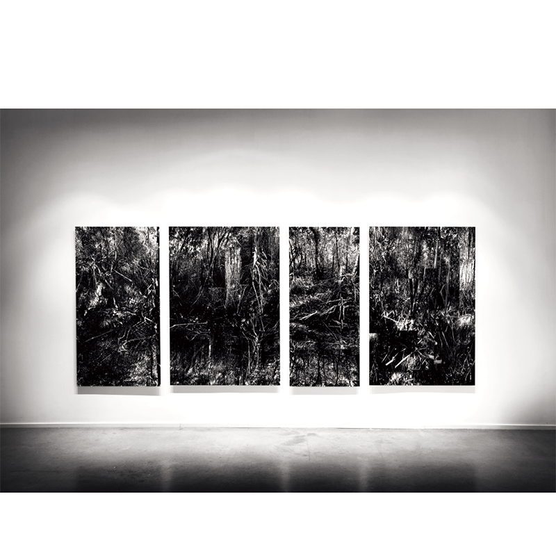 Alain Lefort – Image 2