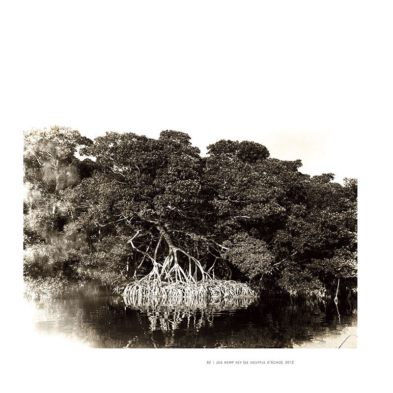 Alain Lefort – Image 5