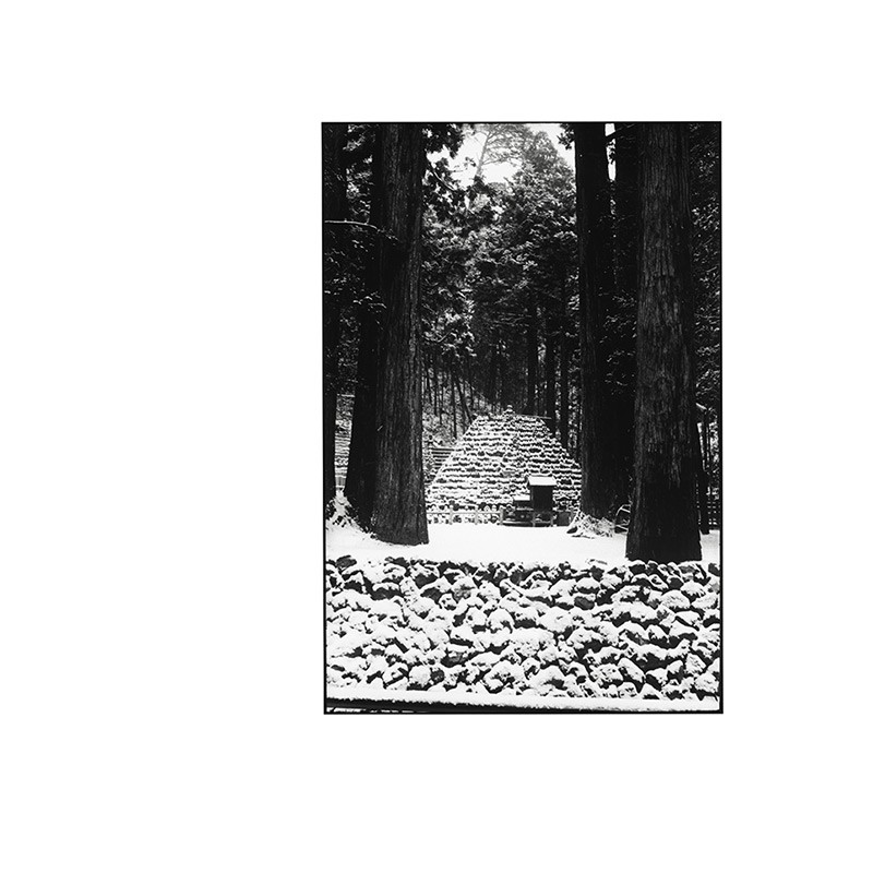 Linda Covit – Image 2