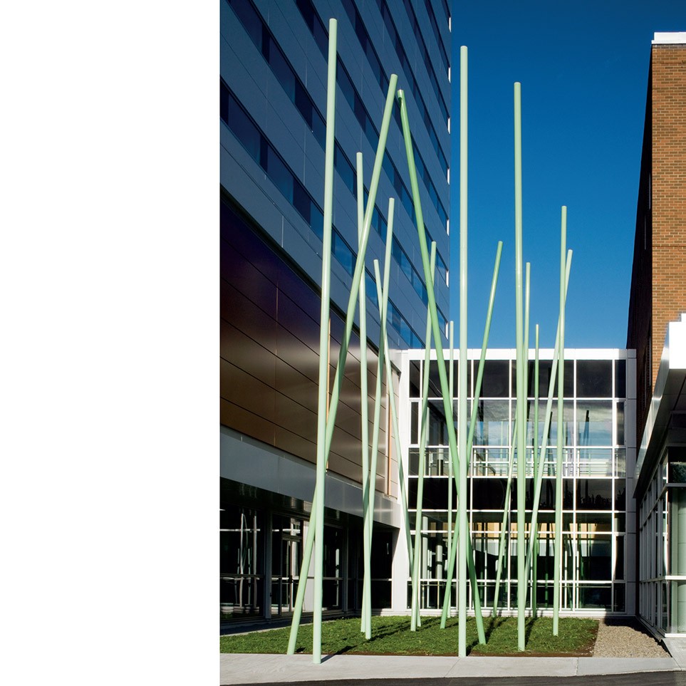 Linda Covit – Image 3