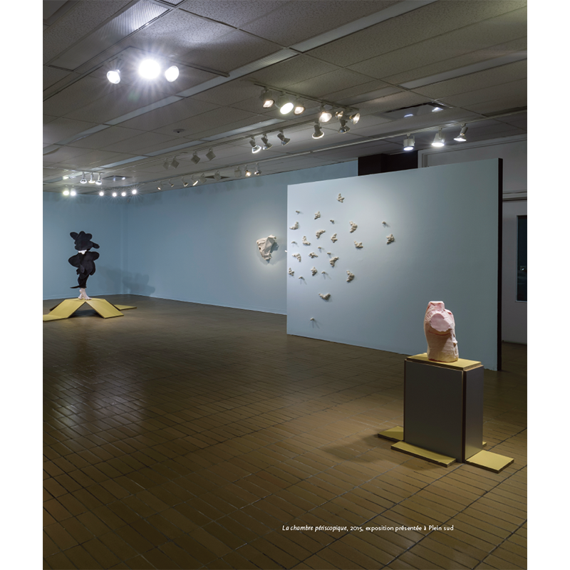 Dominic Papillon : La chambre périscopique – Image 3