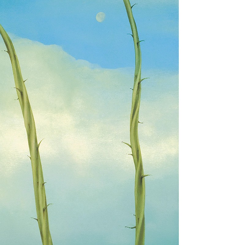 Anne Ashton : Wonderful - Image 2