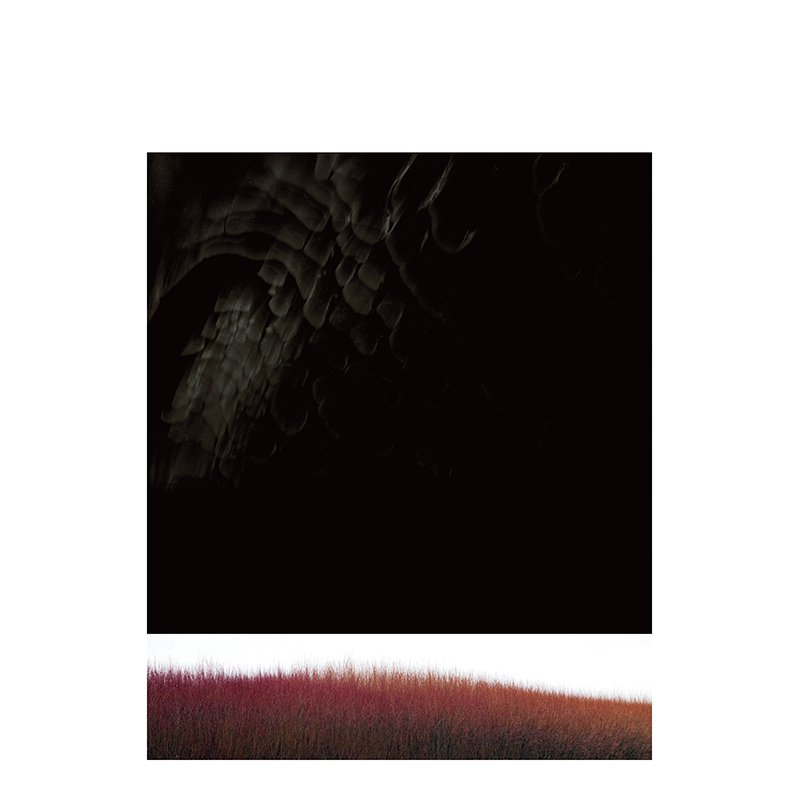 Fiona Annis : Les révolutions sidérales - Image 3