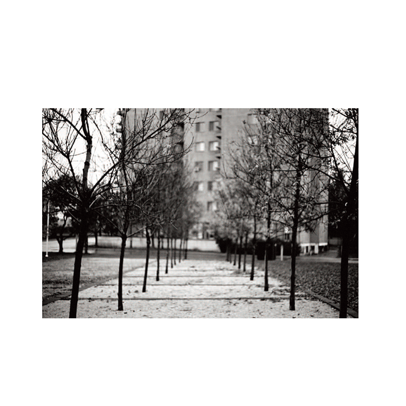 Michel Lamothe – Image 2