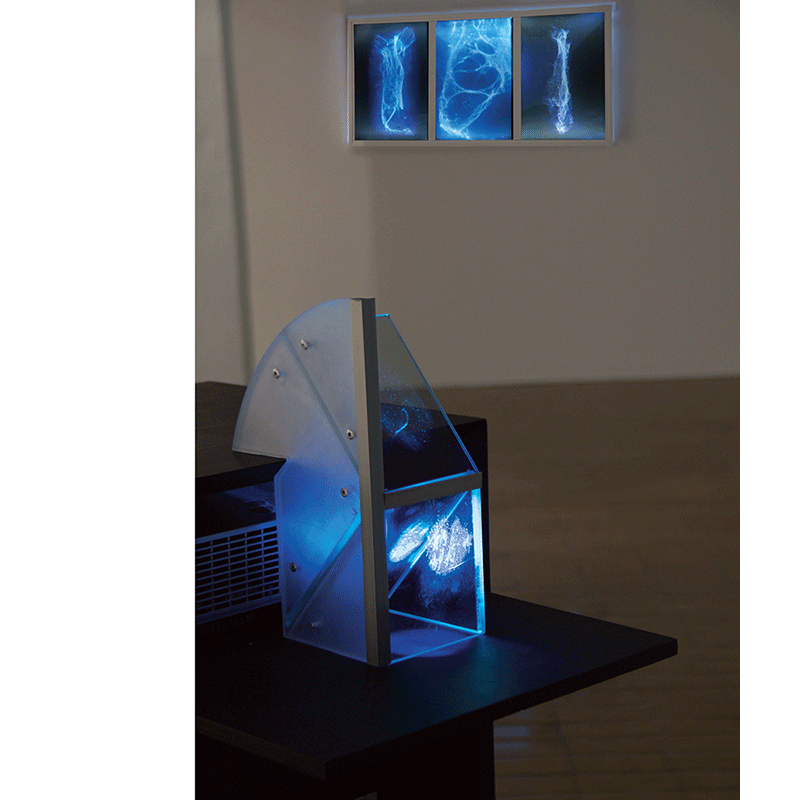 Denise Dumas : Unités de transfert - Transfer units - Image 3