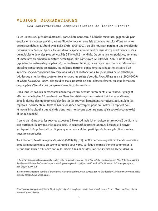 Karine Giboulo: Village Démocratie - Image 2