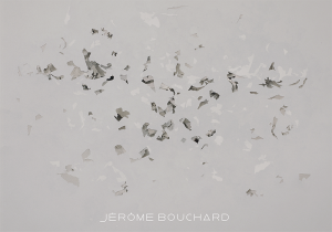 Jérôme Bouchard: 225170 pièces et autant de restes