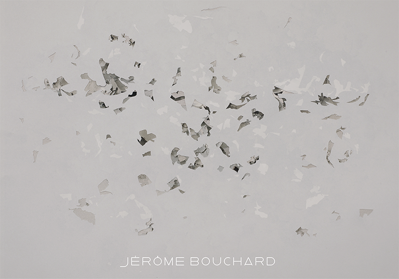 Jérôme Bouchard : 225170 pièces et autant de restes