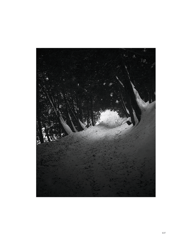 Bertrand Carrière : Solstice - Image 4