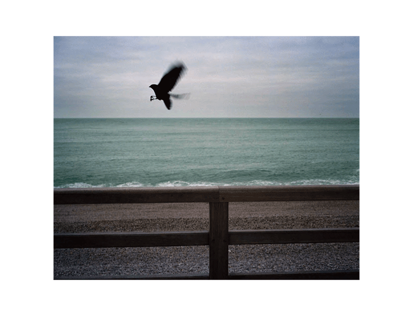 Bertrand Carrière : Solstice - Image 6