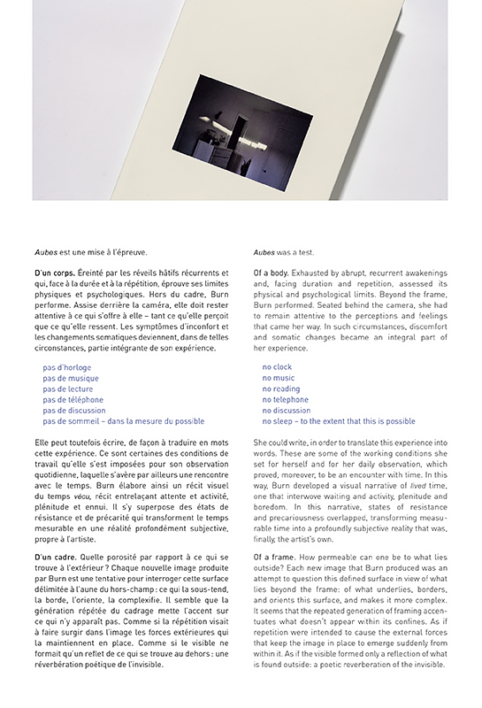 Janick Burn. Aubes - Image 2