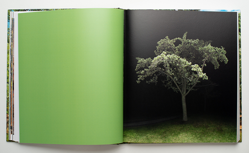 Jocelyn Philibert. Métamorphose du réel – Image 2