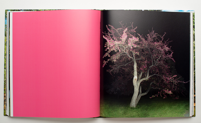 Jocelyn Philibert. Métamorphose du réel – Image 3