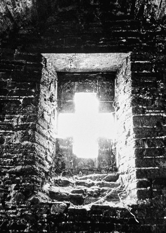 Barbara Claus / 1983 . 20- - Image 3