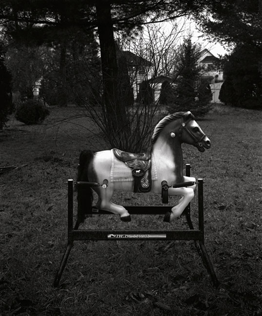 Greenfield Park (cheval), 2006